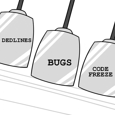 bugs in code